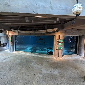 Down on the Bayou - large tank