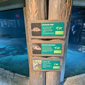 Down on the Bayou - large tank signage