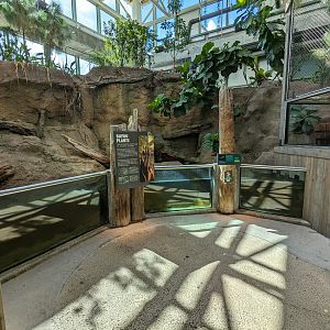 Down on the Bayou - plants, turtle (unsigned and unseen), minnows