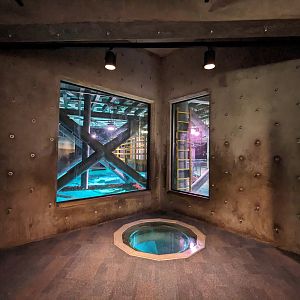 Life in the Gulf - Overlook glass