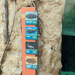 Amazon Rainforest - signage