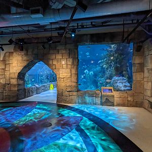 Great Mayan Reef - main tank and tunnel