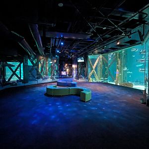 Gulf of Mexico - main tank