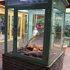 Enclosure Ball python