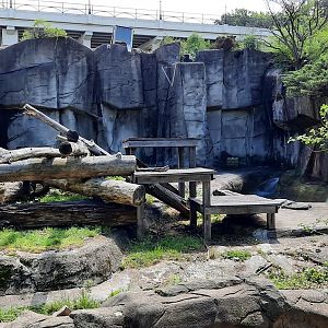 Old Sun/Sloth/Andean Bear Grotto