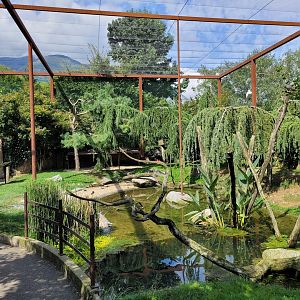 "Les Ailes de la Nature" aviary -Parc Animalier des Pyrénées (2023)
