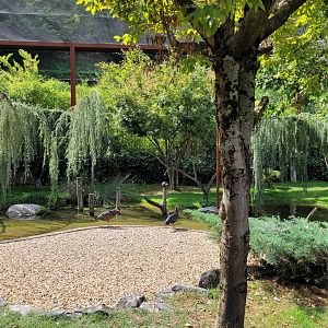 "Les Ailes de la Nature" aviary -Parc Animalier des Pyrénées (2023)