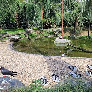 "Les Ailes de la Nature" aviary -Parc Animalier des Pyrénées (2023)