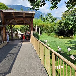 View outside of the aviary -Parc Animalier des Pyrénées (2023)