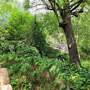 View -Parc Animalier des Pyrénées (2023)