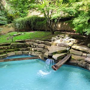 European otter exhibit -Parc Animalier des Pyrénées (2023)