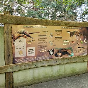 European otter sign -Parc Animalier des Pyrénées (2023)
