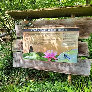 Pond sign -Parc Animalier des Pyrénées (2023)