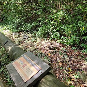 Reptile display -Parc Animalier des Pyrénées (2023)