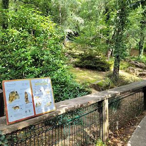 Alpine marmot exhibit -Parc Animalier des Pyrénées (2023)