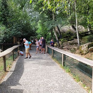 Alpine marmot exhibit -Parc Animalier des Pyrénées (2023)