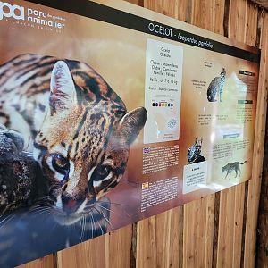Ocelot sign -Parc Animalier des Pyrénées (2023)