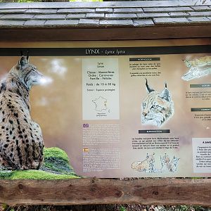 Carpathian lynx sign -Parc Animalier des Pyrénées (2023)