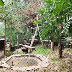 Ocelot exhibit -Parc Animalier des Pyrénées (2023)