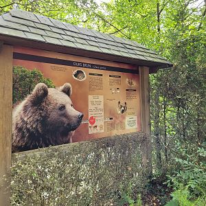 European brown bear sign -Parc Animalier des Pyrénées (2023)