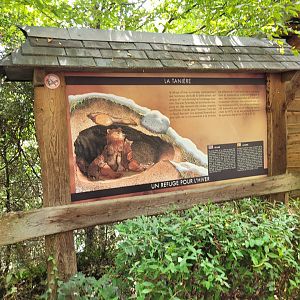 European brown bear sign -Parc Animalier des Pyrénées (2023)