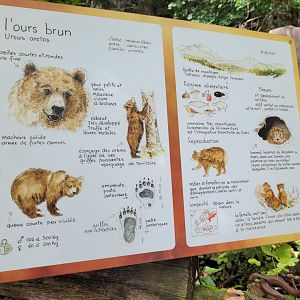 European brown bear sign -Parc Animalier des Pyrénées (2023)