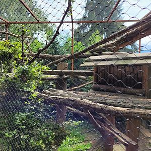 Binturong exhibit -Parc Animalier des Pyrénées (2023)