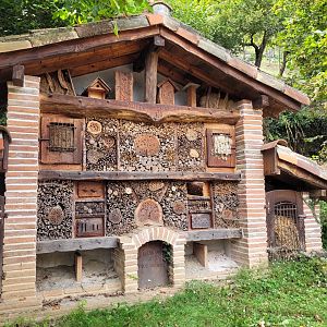 Insect hotel -Parc Animalier des Pyrénées (2023)