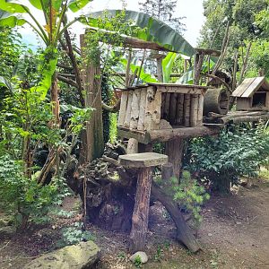 Himalayan red panda exhibit -Parc Animalier des Pyrénées (2023)