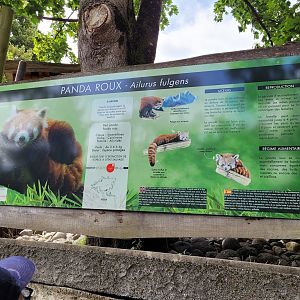 Himalayan red panda sign -Parc Animalier des Pyrénées (2023)