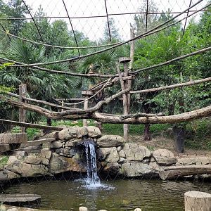 Red-cheeked gibbon and Asian short-clawed otter exhibit -Parc Animalier des Pyrénées (2023)