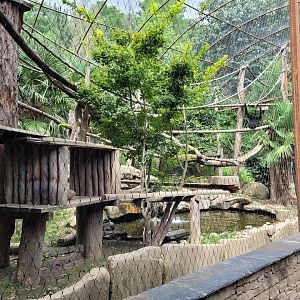 Red-cheeked gibbon and Asian short-clawed otter exhibit -Parc Animalier des Pyrénées (2023)