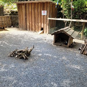 Guinea pig exhibit -Parc Animalier des Pyrénées (2023)