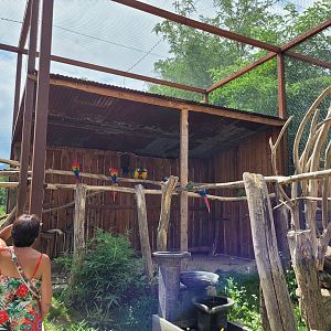 Psittaciformes exhibit -Parc Animalier des Pyrénées (2023)