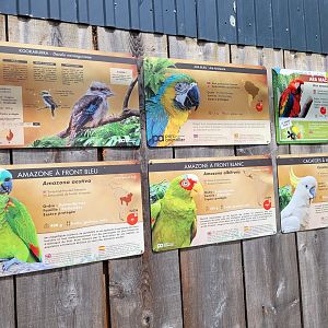 Psittaciformes signae -Parc Animalier des Pyrénées (2023)
