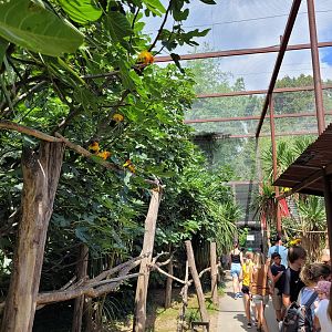 Second psittaciformes exhibit -Parc Animalier des Pyrénées (2023)