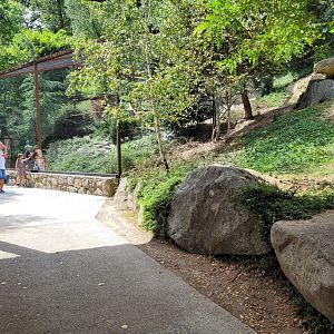 View from the wallaby exhibit -Parc Animalier des Pyrénées (2023)