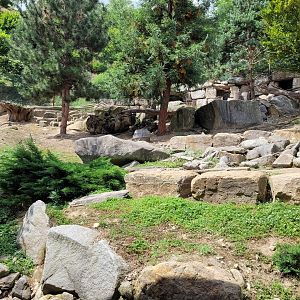 Bennett's wallaby exhibit -Parc Animalier des Pyrénées (2023)