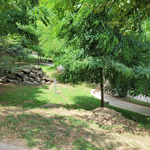 Iberian ibex and Alpine ibex exhibit -Parc Animalier des Pyrénées (2023)