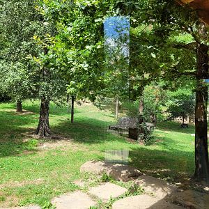 Mackenzie valley wolf exhibit -Parc Animalier des Pyrénées (2023)