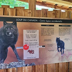 Mackenzie valley wolf sign -Parc Animalier des Pyrénées (2023)