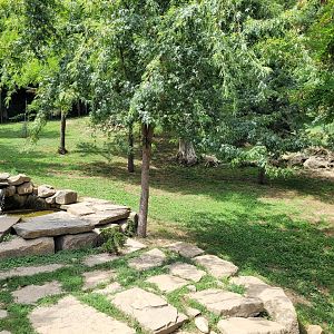 Mackenzie valley wolf exhibit -Parc Animalier des Pyrénées (2023)