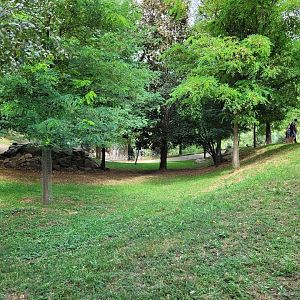 Mackenzie valley wolf exhibit -Parc Animalier des Pyrénées (2023)