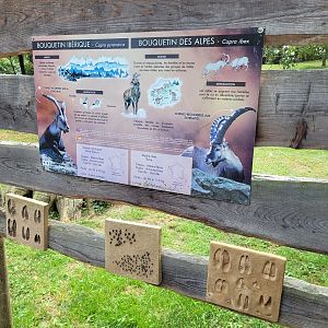 Iberian ibex and Alpine ibex signae and educative displays -Parc Animalier des Pyrénées (2023)