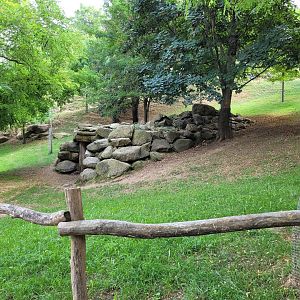 Iberian ibex and Alpine ibex exhibit -Parc Animalier des Pyrénées (2023)