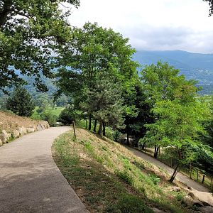 Pyrenean chamois exhibit -Parc Animalier des Pyrénées (2023)