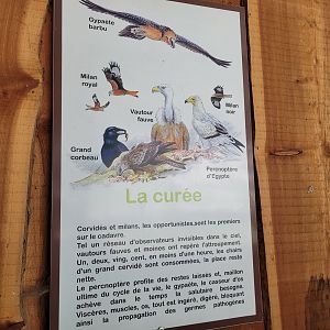 Scavenger sign -Parc Animalier des Pyrénées (2023)