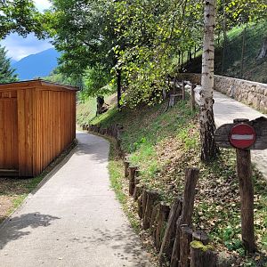 Western roe deer exhibit -Parc Animalier des Pyrénées (2023)