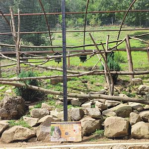Pére David's rock squirrel exhibit -Parc Animalier des Pyrénées (2023)