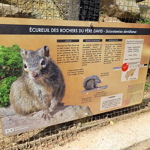 Pére David's rock squirrel sign -Parc Animalier des Pyrénées (2023)